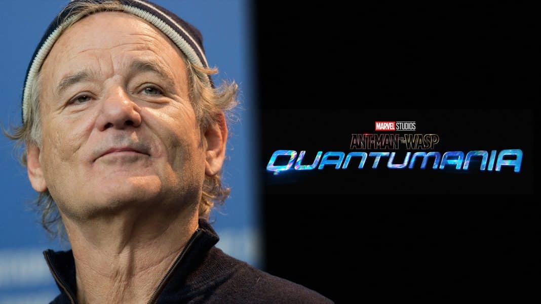 bill murray mcu