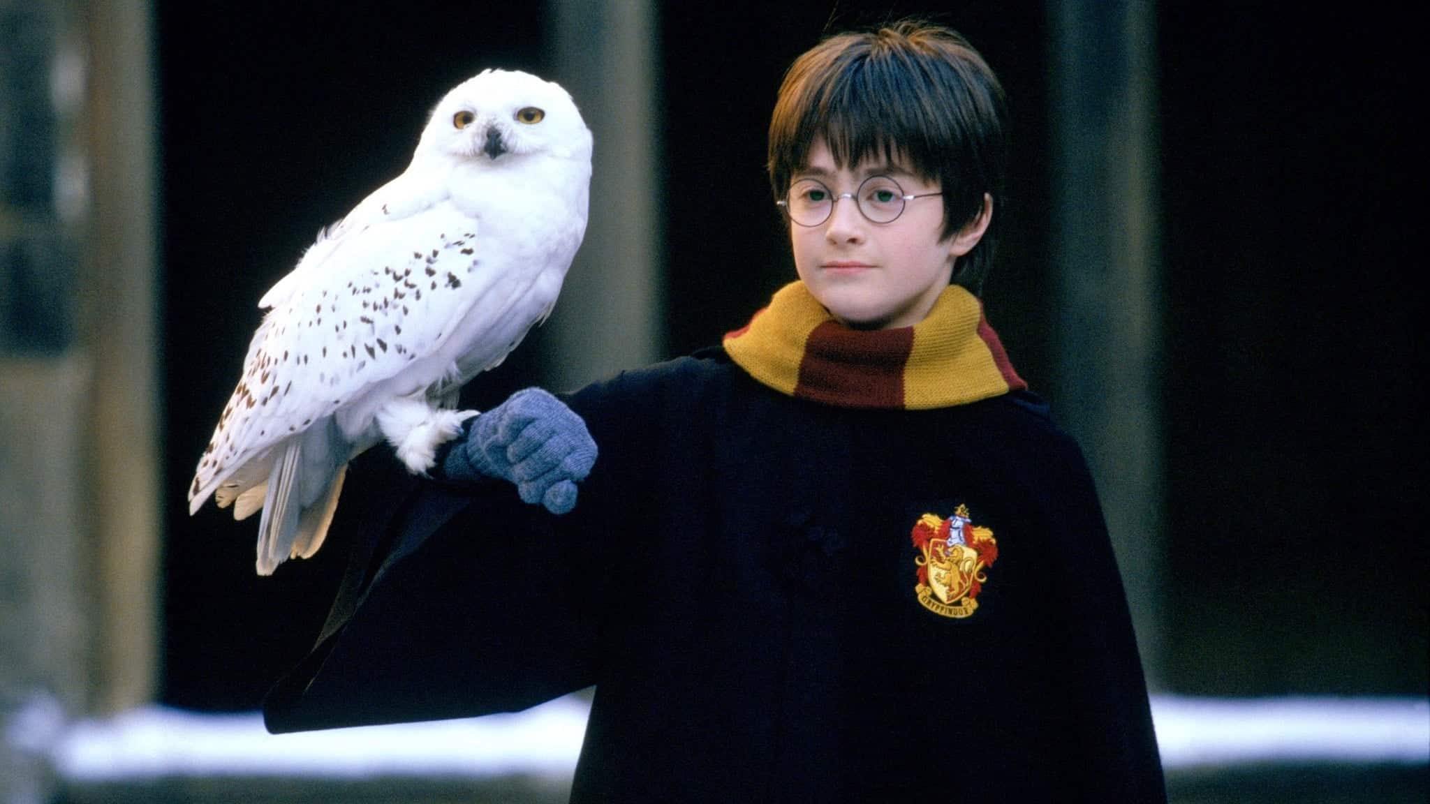 harry potter daniel radcliffe